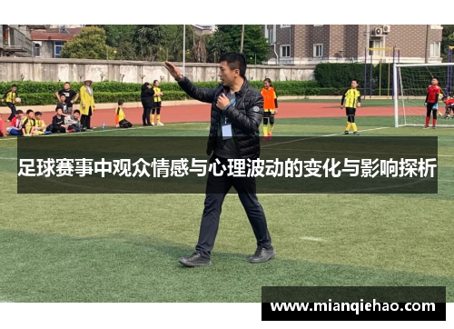 足球赛事中观众情感与心理波动的变化与影响探析