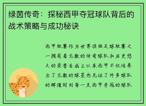 绿茵传奇：探秘西甲夺冠球队背后的战术策略与成功秘诀