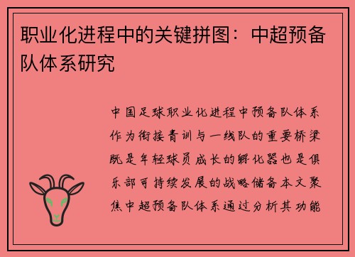 职业化进程中的关键拼图：中超预备队体系研究