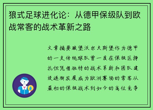 狼式足球进化论：从德甲保级队到欧战常客的战术革新之路