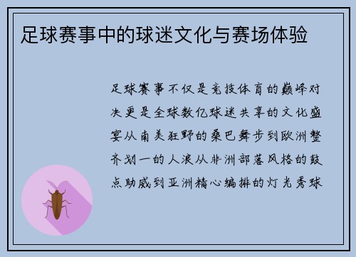 足球赛事中的球迷文化与赛场体验