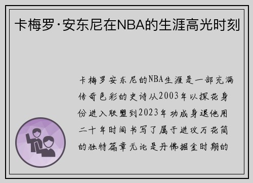 卡梅罗·安东尼在NBA的生涯高光时刻