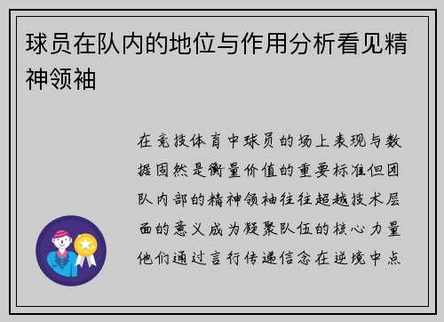 球员在队内的地位与作用分析看见精神领袖