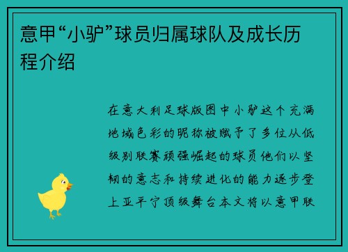 意甲“小驴”球员归属球队及成长历程介绍