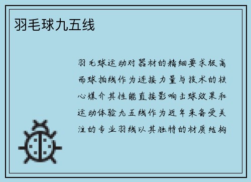 羽毛球九五线